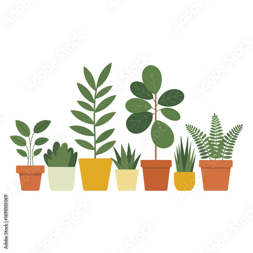 Collection of potted houseplants with green leaves on white background Keywords: potted plants