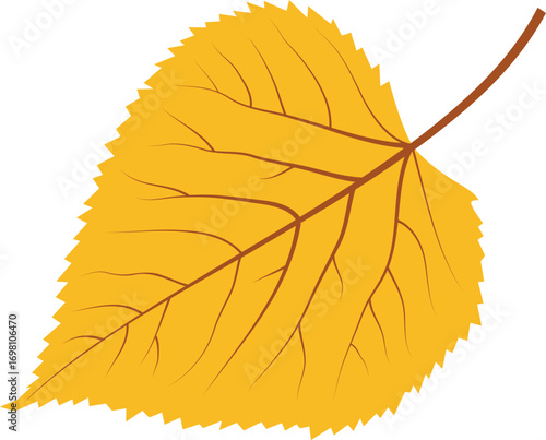Isolated yellow leaf with visible veins illustration