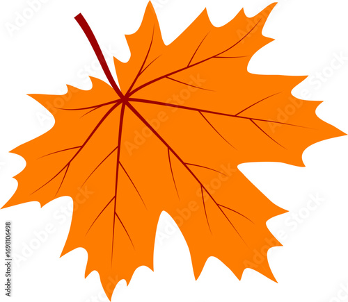 Isolated orange maple leaf autumnal symbol graphic