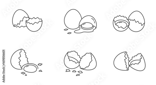 broken eggs in various stages of cracking open