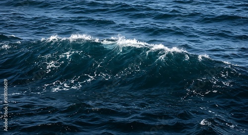 Fototapeta Naklejka Na Ścianę i Meble -  Ocean's Whisper