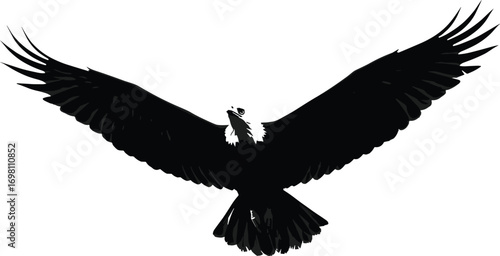 Majestic bald eagle soaring with wings spread, detailed wildlife bird, symbol of freedom, isolated on white background, flying raptor illustration.