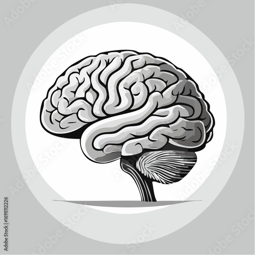 Brain or mind side view flat vector icon for medical apps and websites