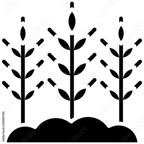Harvest Icon