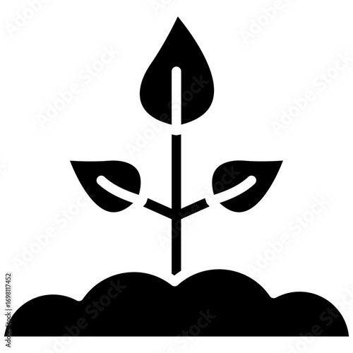 Sprout Icon