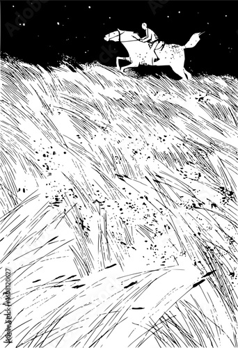 Equestrian adventure illustration, rider galloping across field at night, freedom and skill, horse riding
