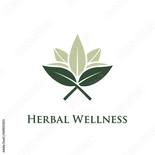 Leaf green health herbal plant nature organic 