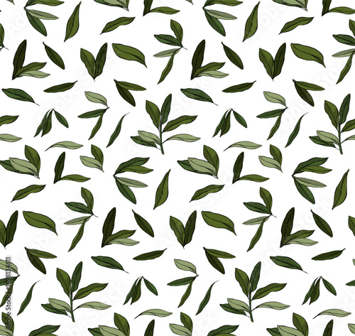 leaves vector pattern background. Green olive leaves seamless pattern. Vector graphic line ink colored illustration. Use for cosmetic package, shop, store, products, spa salon, wellness program, skin
