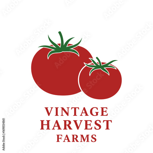 Farming harvest tomato farm agriculture food