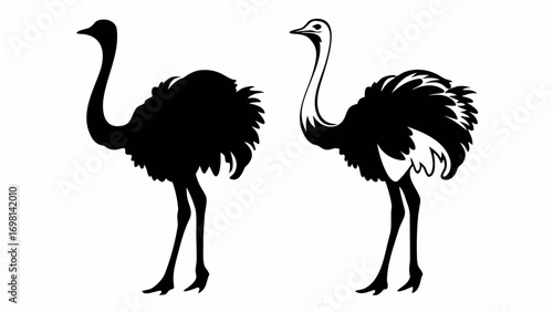 Two ostrich silhouettes standing side by side in black and white showcasing different feather details