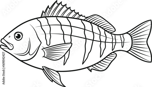 line art illustration of a single striped fish in profile, isolated on white.