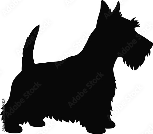 a black silhouette of a dog on transparent background silhouette