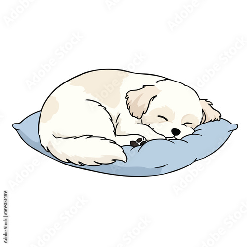 A peaceful 2D flat vector illustration shows a small fluffy white dog curled up asleep on a soft blue cushion, dreaming quietly on a clean white background.