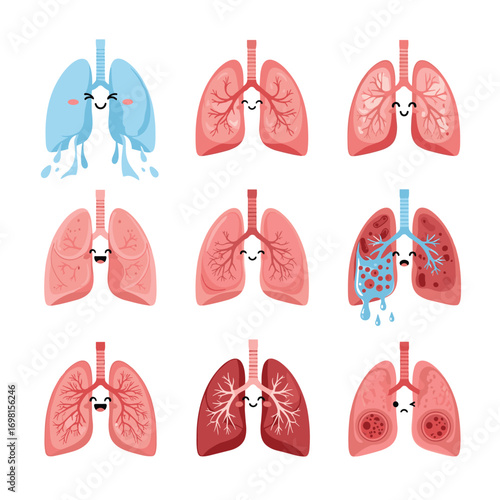 Understanding the human respiratory system and its vital role in maintaining health and well being