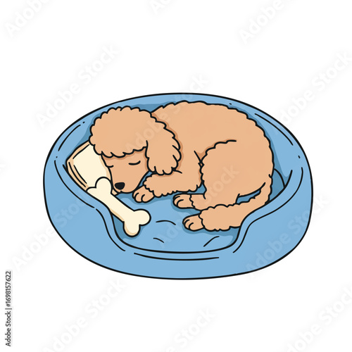 Cute fluffy poodle dog sleeping soundly, curled up in a soft blue dog bed with a small bone-shaped pillow, a vibrant flat 2D vector illustration on a white background.