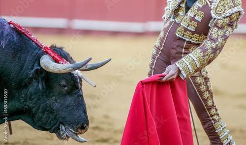 Obraz na plátne Matador performs natural pass with muleta at Real Maestranza bullring