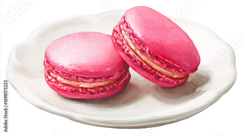 Vector illustration, of two French pink macarons on white plate. Watercolor paint.