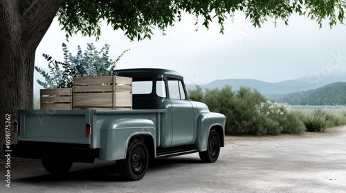 Vintage pickup truck with wooden crates under a tree