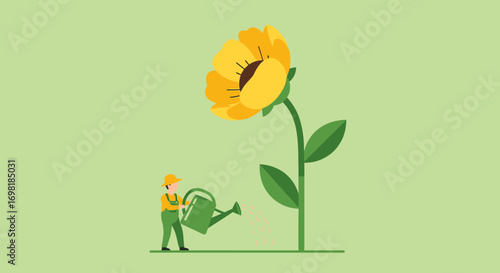 A gardener watering a large sunflower.