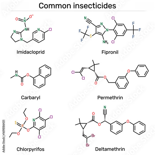 Common insecticides molecule. Imidacloprid, fipronil, carbaryl, permethrin, chlorpyrifos, deltamethrin