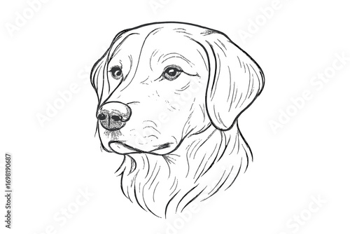Dog silhouette icon set. pet, animal, canine silhouette icons for graphic projects