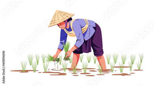 Asian farmer planting rice: In the heart of an agricultural landscape, an Asian farmer diligently plants rice seedlings in a flooded field, a symbol of dedication, sustenance.