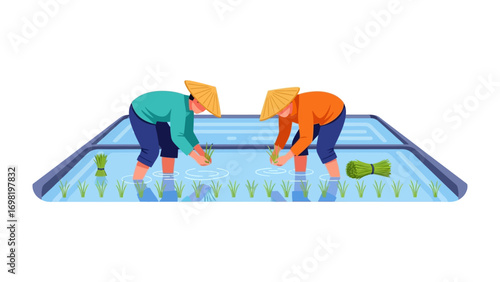 Cultivating Harvest: Two farmers, immersed in a watery rice paddy, diligently tend to the growing crops, embodying the essence of rural life and agricultural practices.