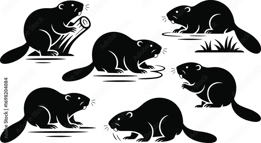 Fototapeta premium Set of beaver silhouettes in various poses, vector illustration, wild animal collection, isolated on white background.