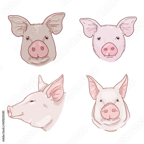Vector Cartoon Set of Pig Heads