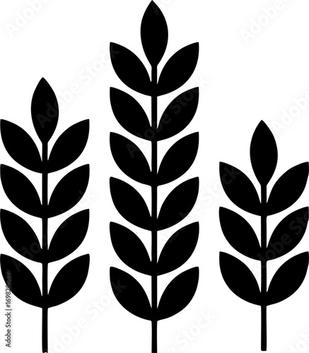 Wheat Stalks