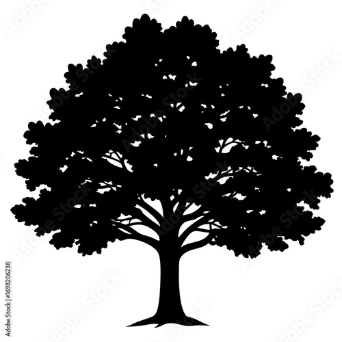 A striking black silhouette of a mature deciduous tree with a full canopy of leaves against a clean white background