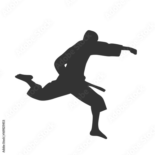 Karate in vector, flat style. Sportsman in vector.