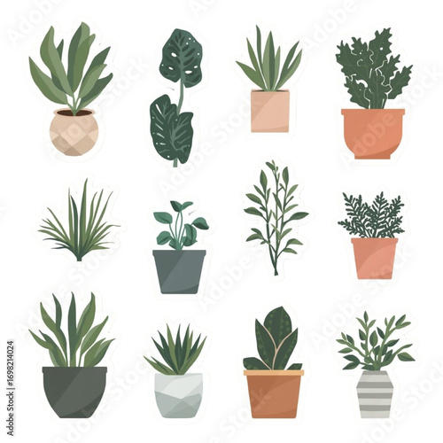 Botanical Haven: A collection of meticulously rendered potted plants, each showcasing unique foliage, offers a vibrant array of home decor possibilities. 