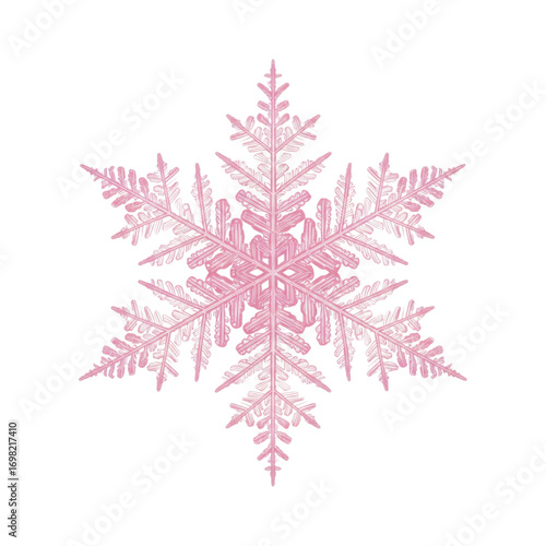 Pink snowflake crystallizing on transparent background representing winter wonderland