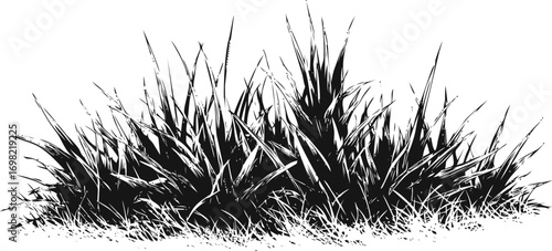 Grass vector sketch hand drawn line art in meadow, grass bush in black and white — stock vector