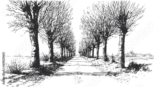 Landscape vector sketch hand drawn line art in landscape, tree-lined country road in black — stock vector