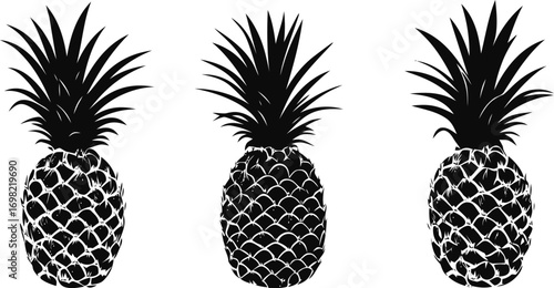 Pineapple vector hand drawn line art in nature, pineapple silhouettes set in bold black — stock vector