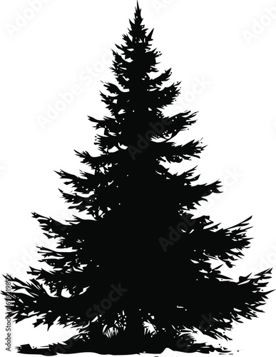 Pine vector hand drawn line art in nature, pine tree silhouette in natural style — stock vector