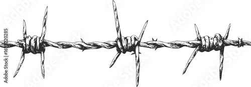 Barbed vector sketch hand drawn line art in isolated, barbed wire in black and white — stock vector