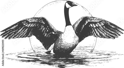 Goose vector sketch hand drawn line art in nature, vintage style — stock vector