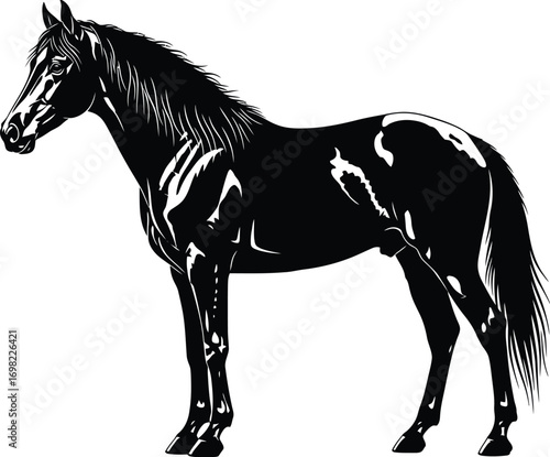 Majestic black horse standing proudly, showcasing its powerful physique and flowing mane against a stark white background.
