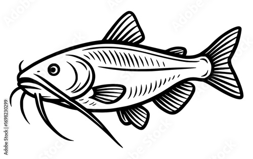 Vector line art illustration Of A Catfish.