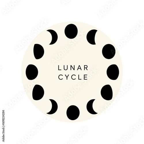 Lunar Cycle illustration of moon phases. Minimalist graphic showing the different stages of the moon in a circle. Celestial astrology and astronomy concept.