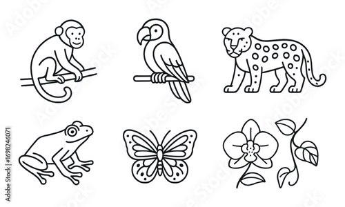 Outline icons of monkey, parrot, leopard, frog, butterfly, and orchid