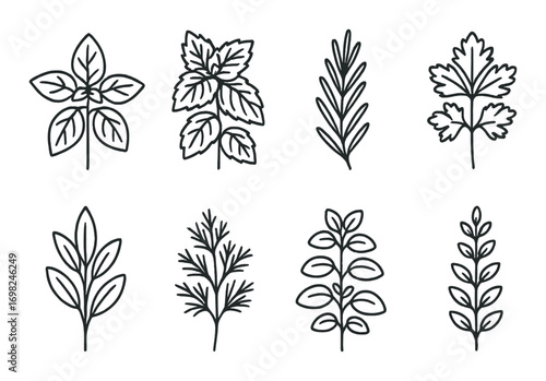 Stylized herb silhouettes on dark background: basil, mint, rosemary, parsley, bay, dill, mint, thyme