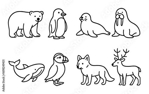 Outline of arctic and forest animals: bear, penguin, seal, walrus, whale, puffin, fox, deer