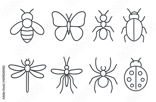 Outline illustrations of diverse insects on dark background