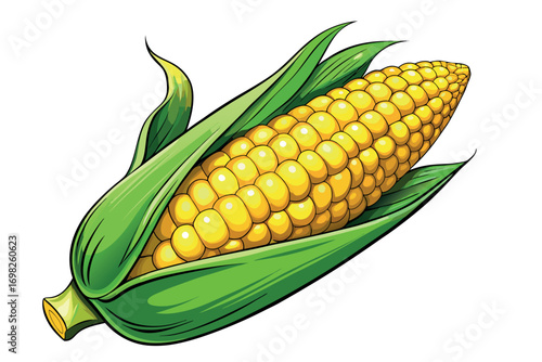 Vector illustration of fresh yellow corn on the cob with green husk, realistic detailed texture, organic farm vegetable, isolated on white background, healthy seasonal food design.