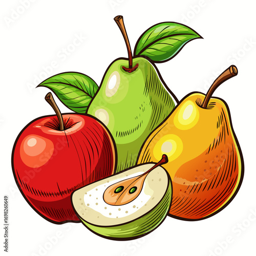 Vector illustration of apples and pears, whole fruits and sliced pieces, realistic detailed texture, organic healthy seasonal food, isolated on white background, natural autumn fruit design.