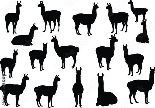 Llama silhouette collection, wild animal outline, farm animal shadow, South America llama art, vector illustration, black llama shape, nature graphic